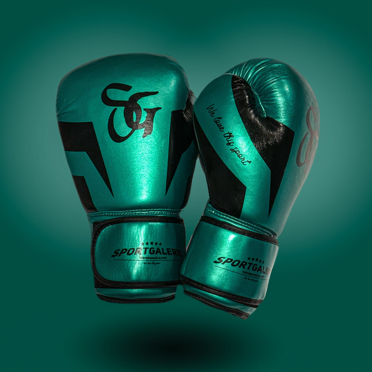 Bundle Starter Paket Kampfsport inkl. Handschuhe,Mundschutz,Springseil,Oversized T-Shirt